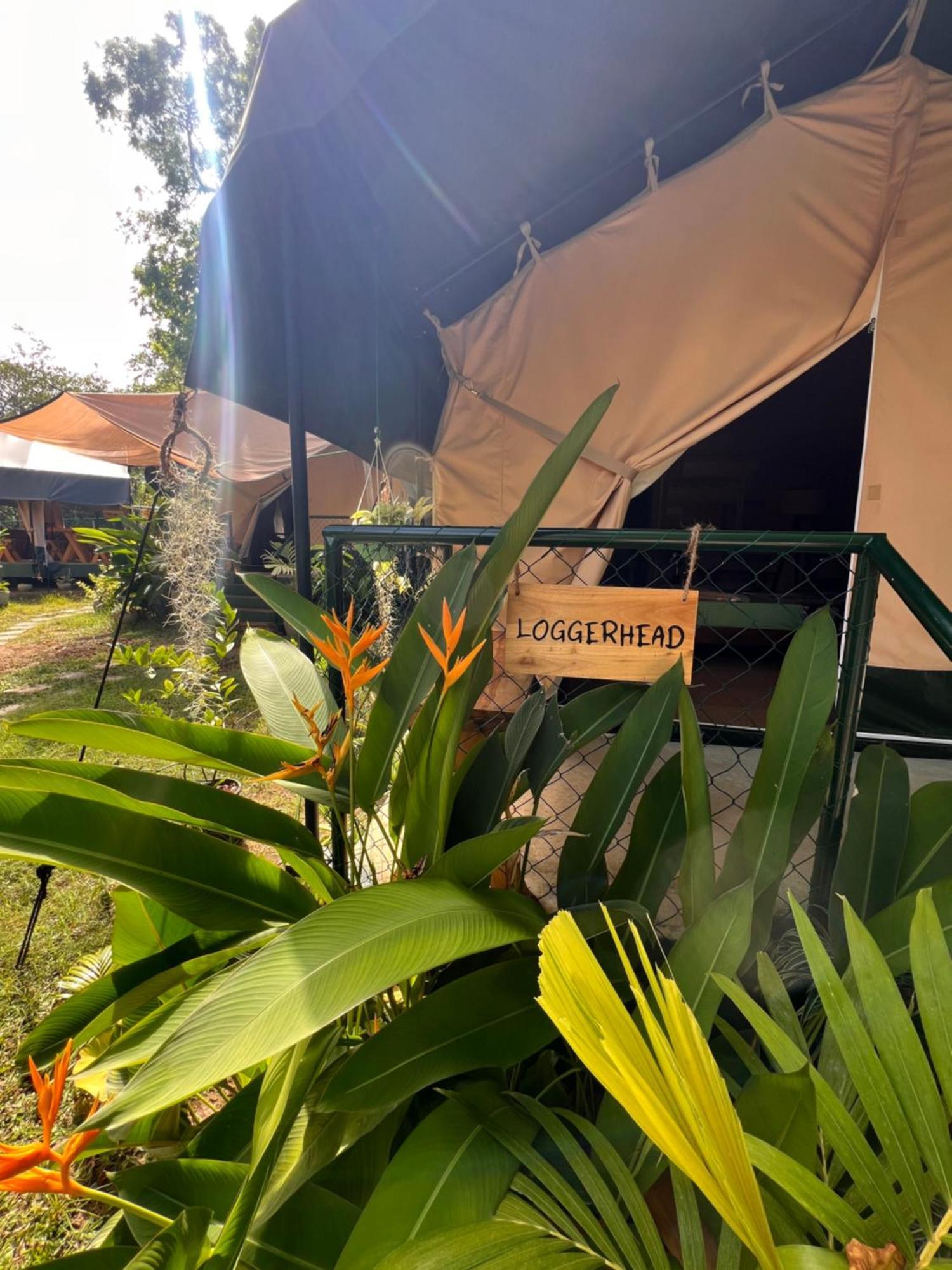 At One - Glamping Hotel Rekawa Eksteriør billede